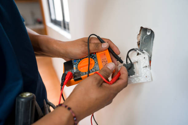 Best Electric Panel Repair  in New Ellenton, SC